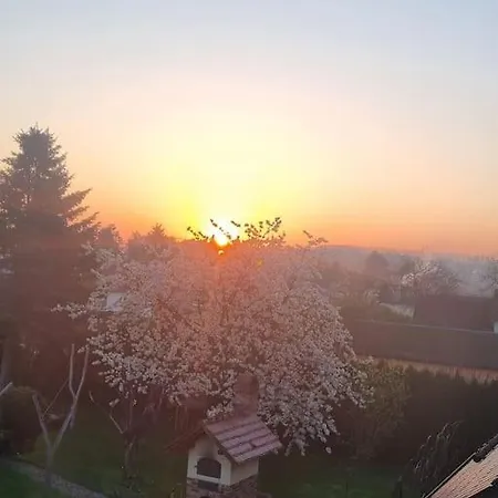 Ferienwohnung *Zur Weinbergstrasse* Lauta Exterior foto