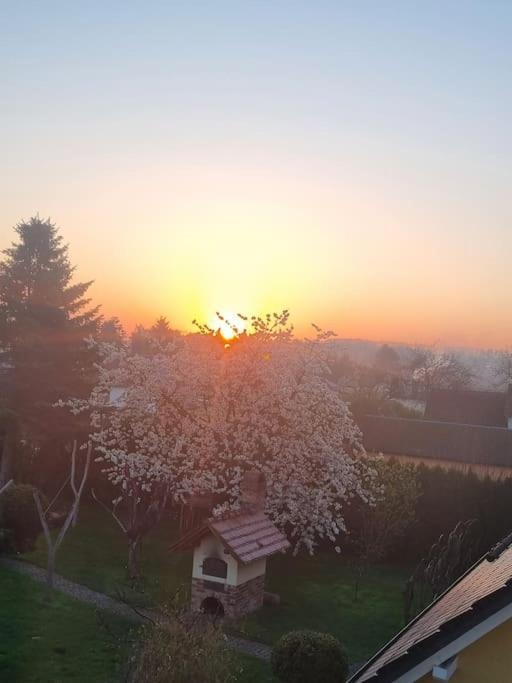 Appartement *zur Weinbergstrasse* *