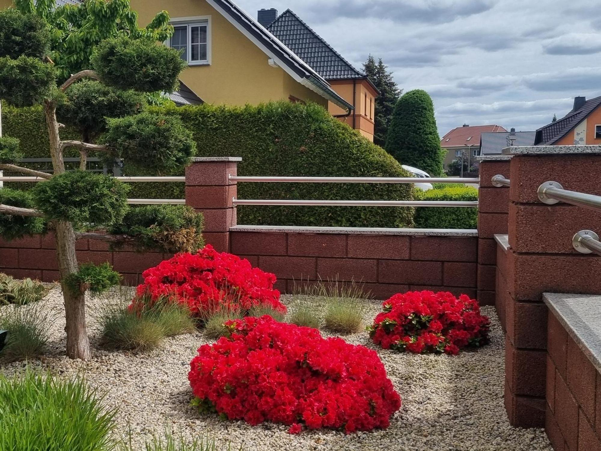 Apartment *zur Weinbergstrasse*